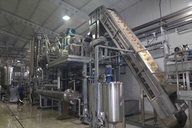 Fransa ve İspanya'daki bebeklerin meyve püresi Erzincan'dan